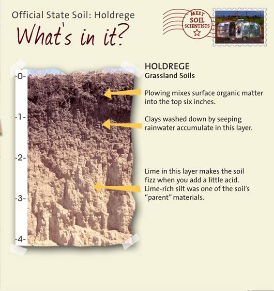 Holdrege silt loam, Nebraska's official state soil, first identified in Phelps County in 1917.